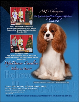 Advert: Suade feb2013