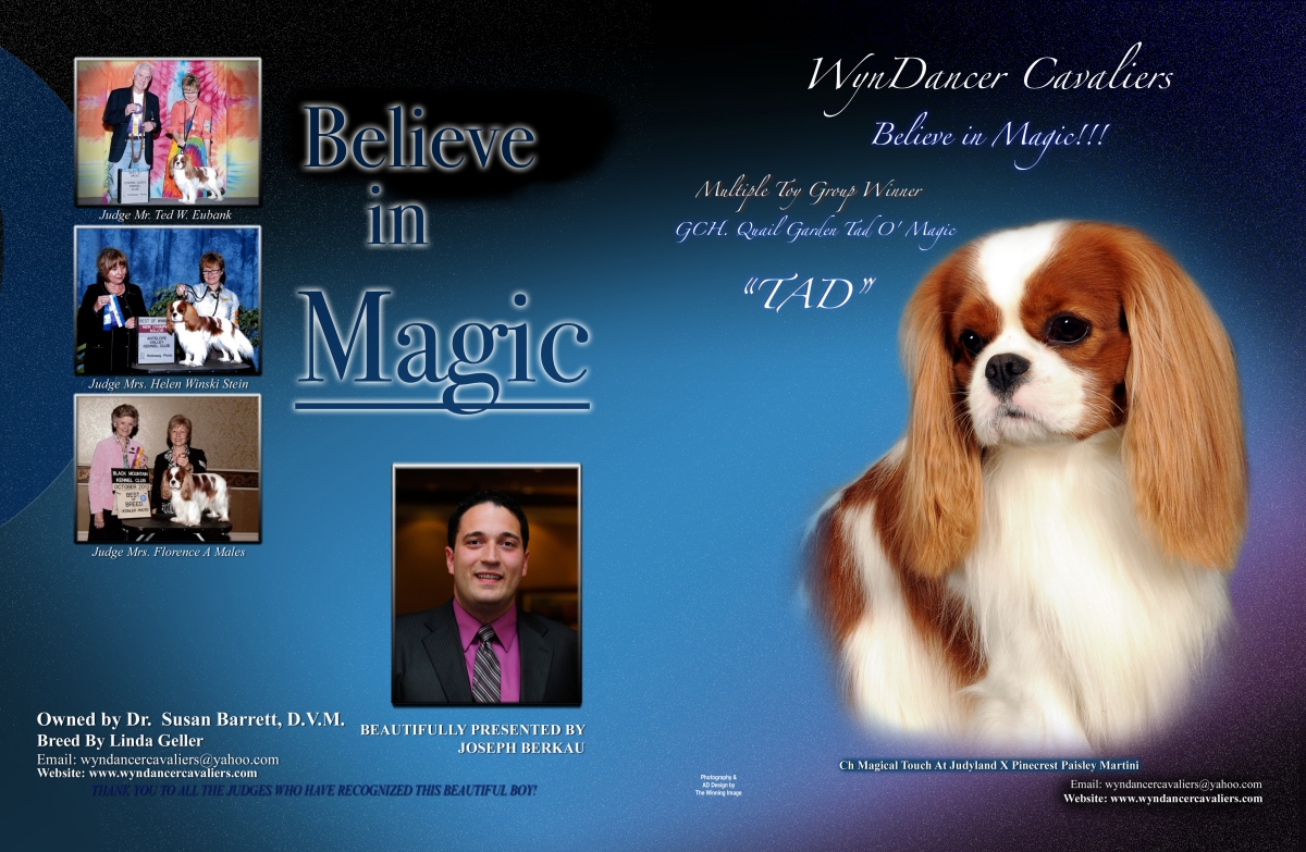 Advert: Tad MultipleToyGroup