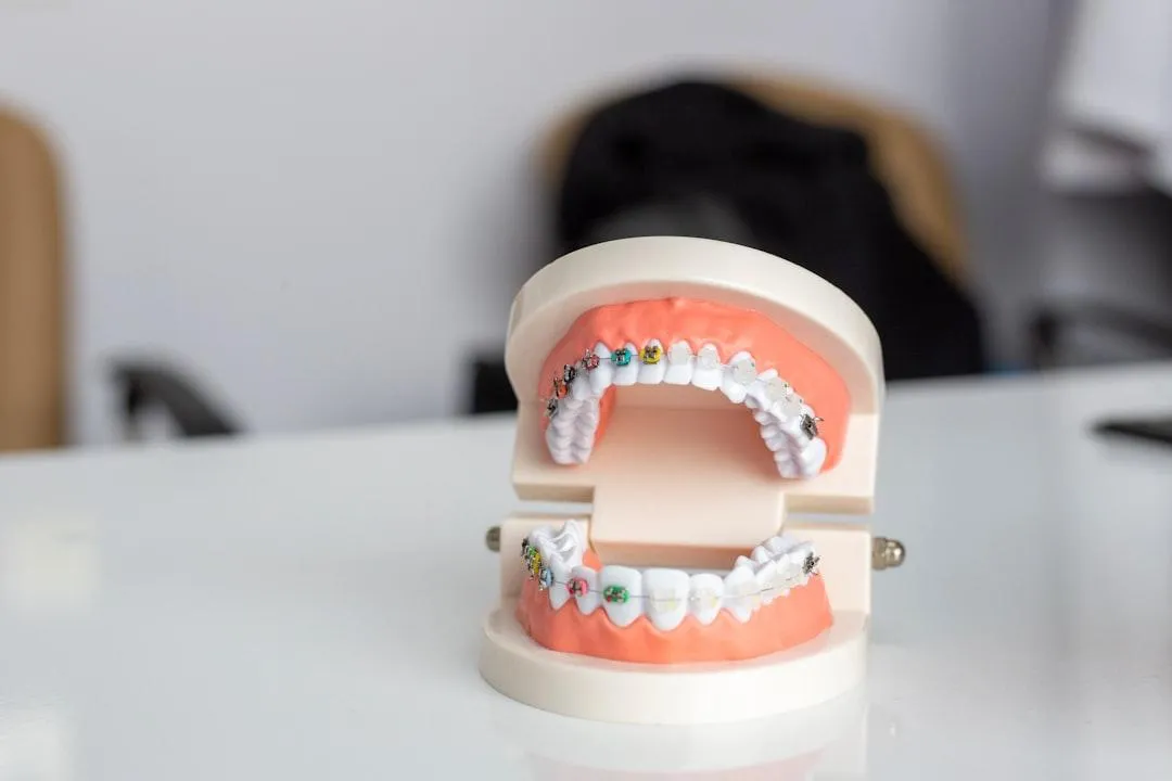 Dental Terms: Common Terms You Should Know