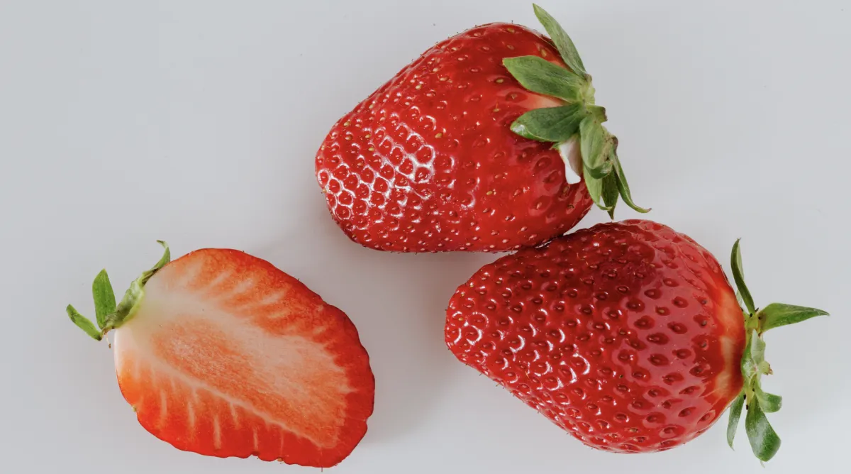 can carbs and diabetes coexist blog cover