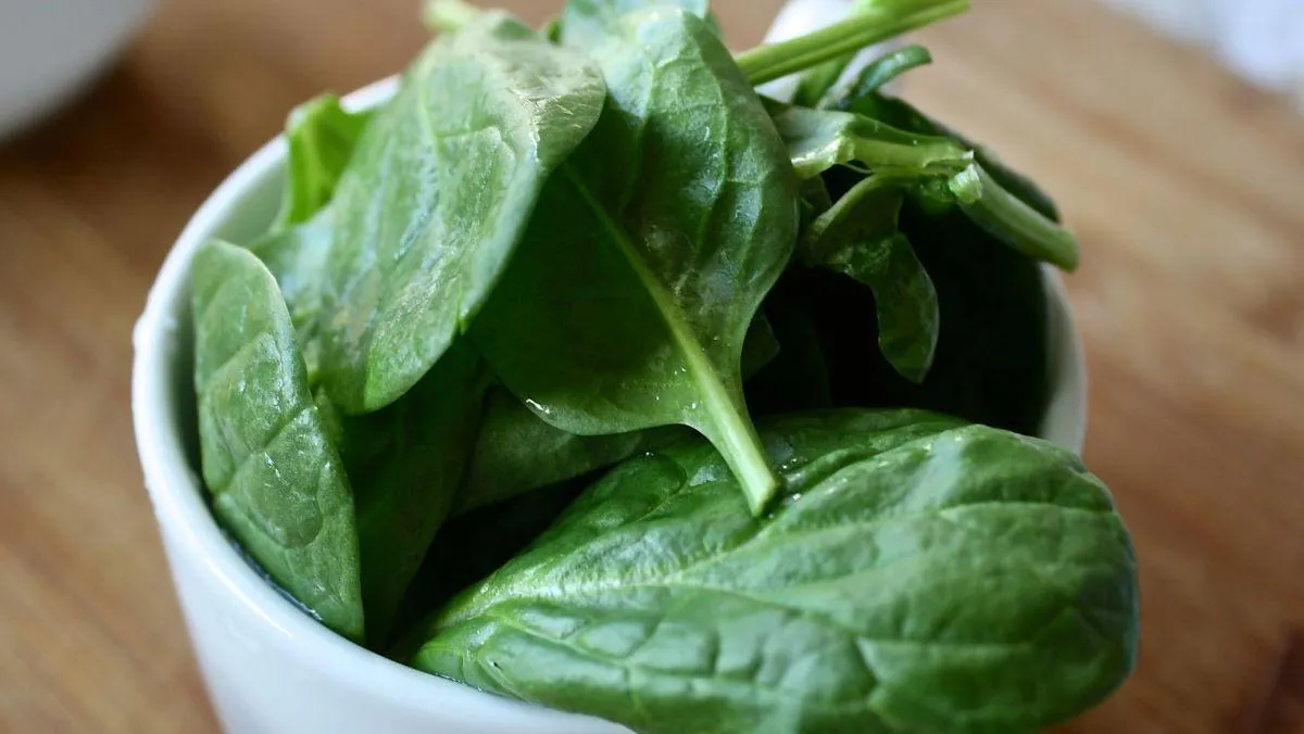 spinach in a white ceramic bowl