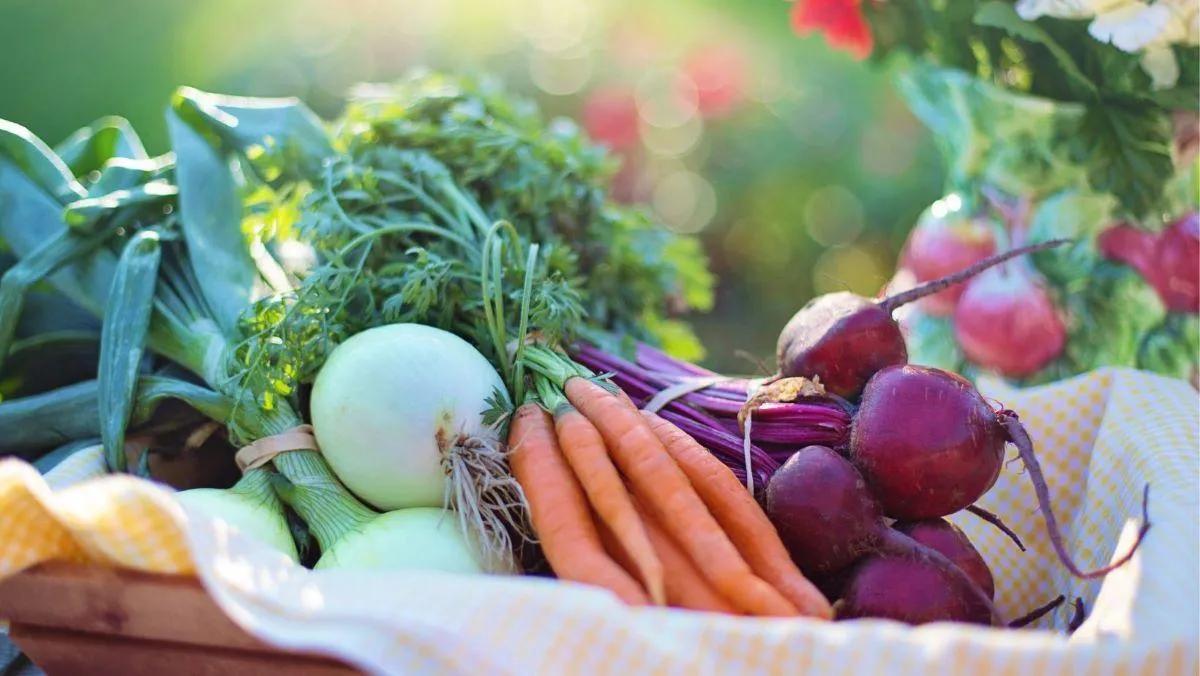 variety of vegetables in a basket