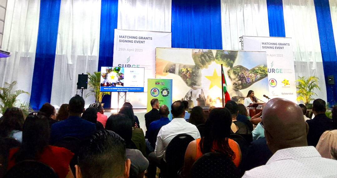 SURGE ondersteunt 41 nieuwe bedrijven met groeifinanciering