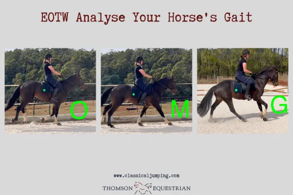 EOTW Analyse Your Horse's Gait
