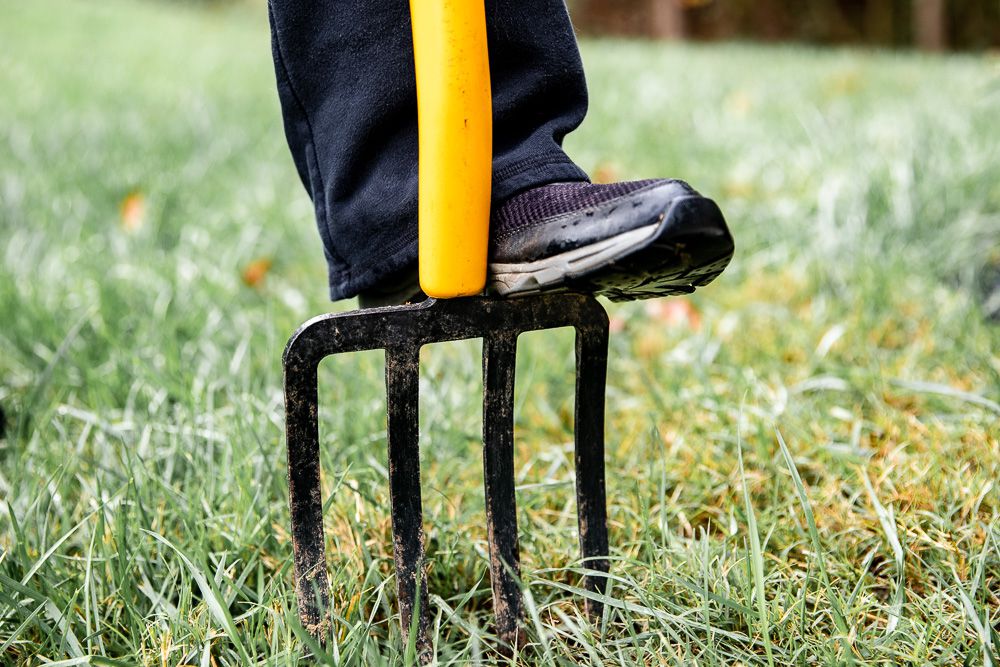 When Should You Aerate Your Lawn in Omaha? Expert Timing & Tips