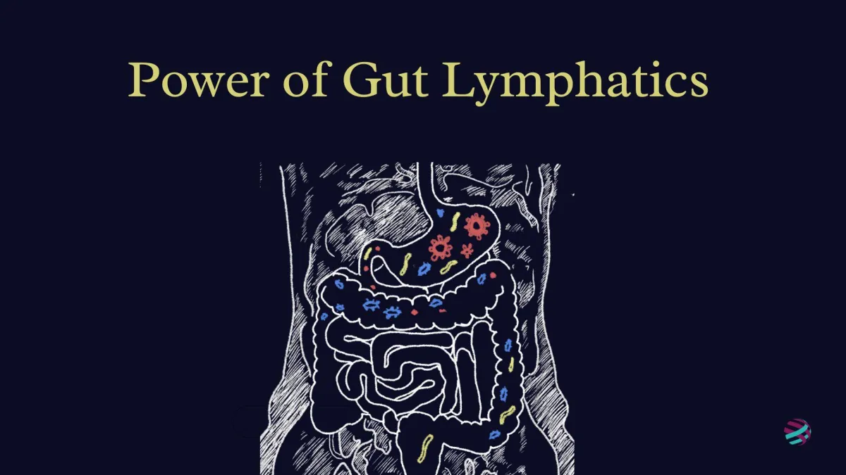 Power of Gut Lymphatics