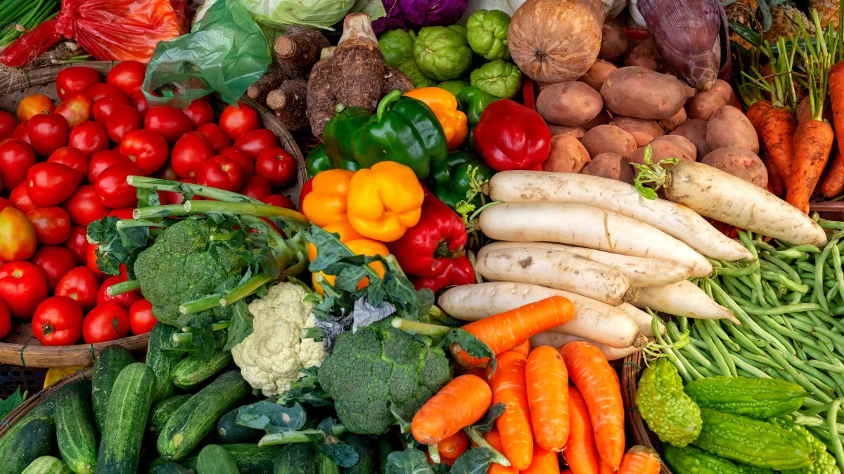 A colorful assortment of fresh vegetables, including carrots, broccoli, bell peppers, and tomatoes.