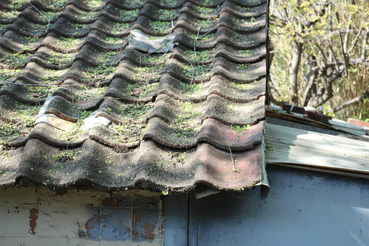 The High Cost of Ignoring Small Home Repairs