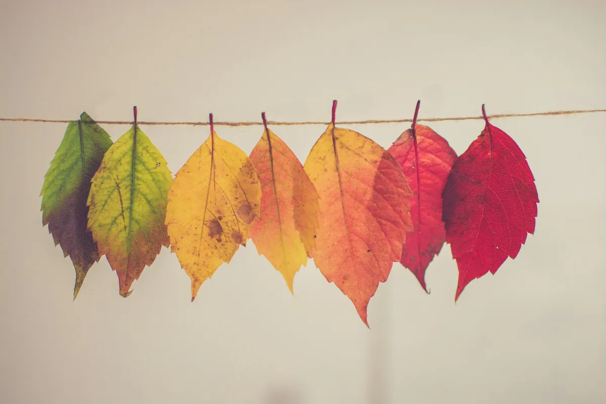 Prepare Your Home for Seasonal Changes