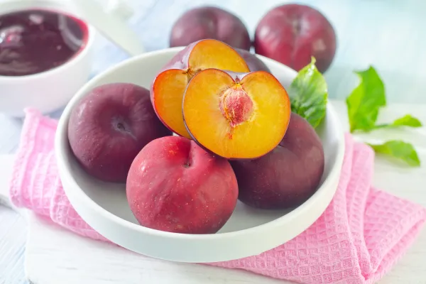 implantation success diet
