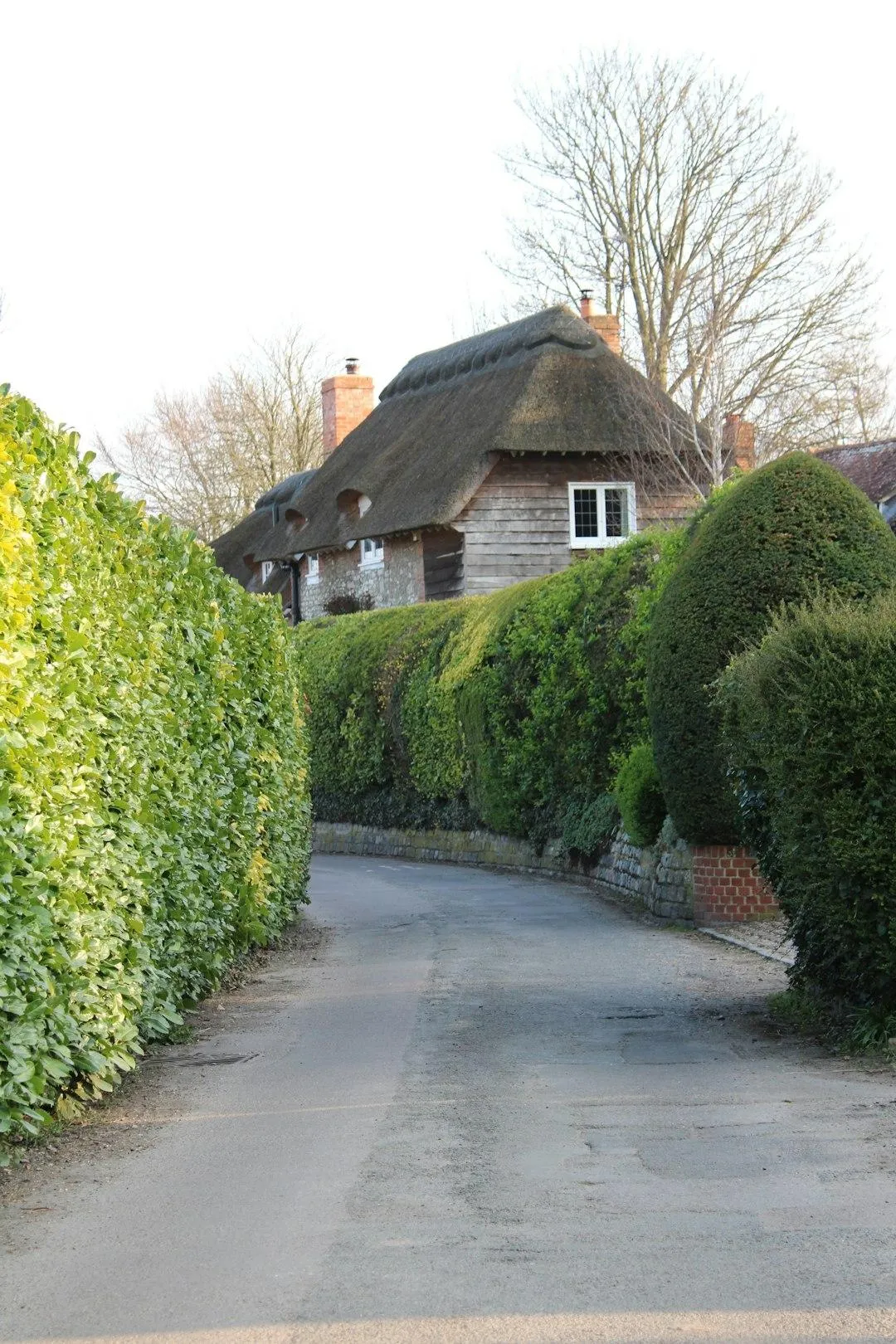 Why a Gardener with Driving Skills Should Join Sendhurst Landscapes as a Garden Maintenance Operative