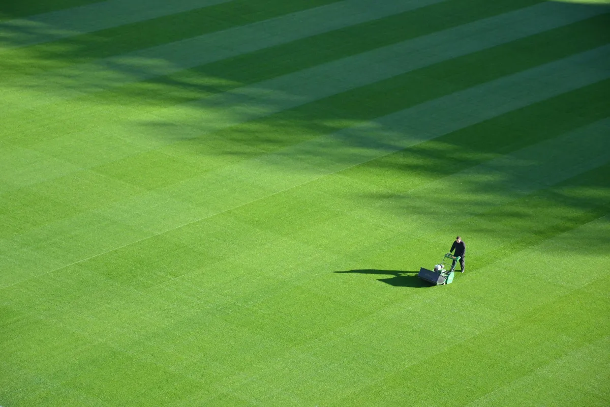 Why Do Landlords Need Garden Maintenance Plans?