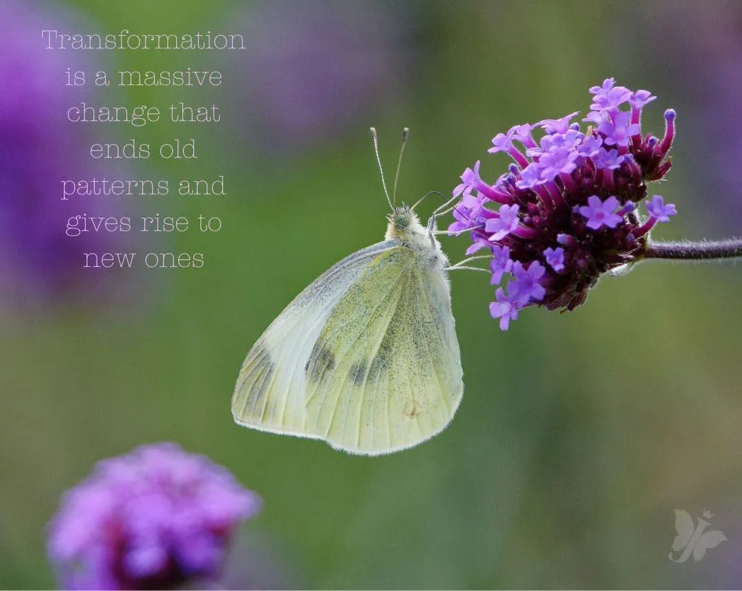 Transformation is a massive change that ends old patterns and gives rise to new ones