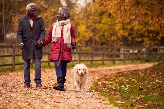 The Health Harvest: 3 Ways to Prepare for a Safe and Healthy Winter