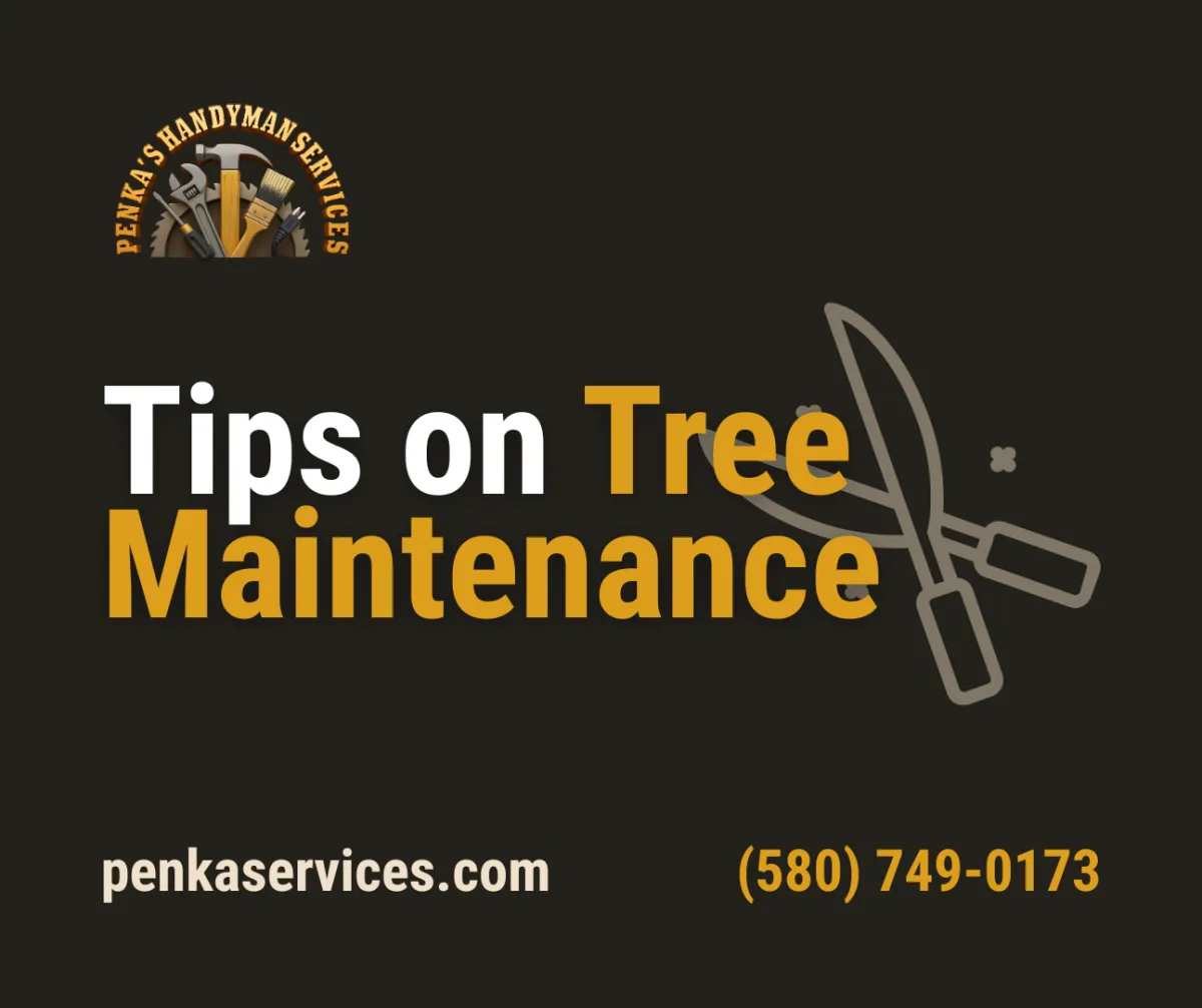 Tips on Tree Maintenance

