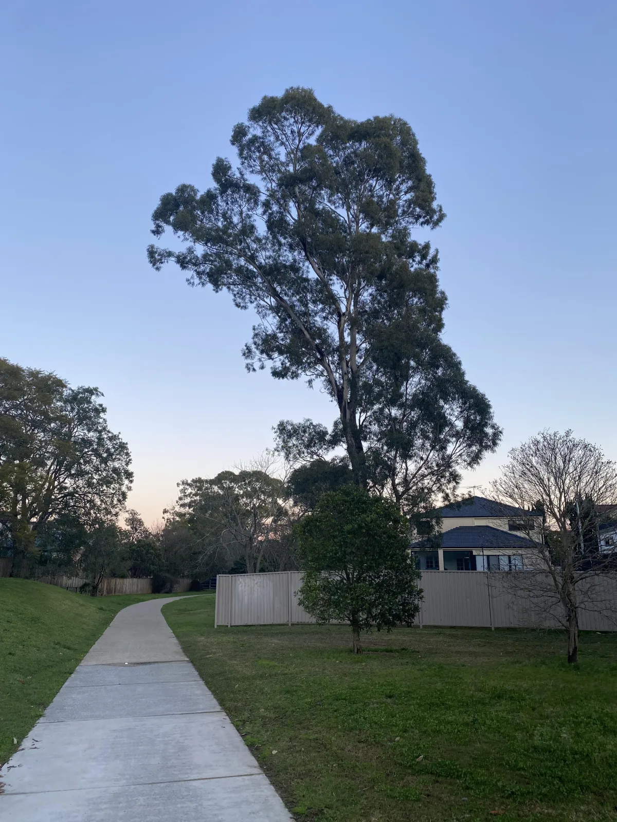 The lesson I didn’t expect from a 5-minute walk