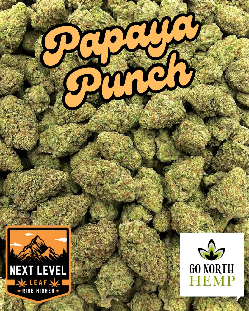 Papaya Punch Big