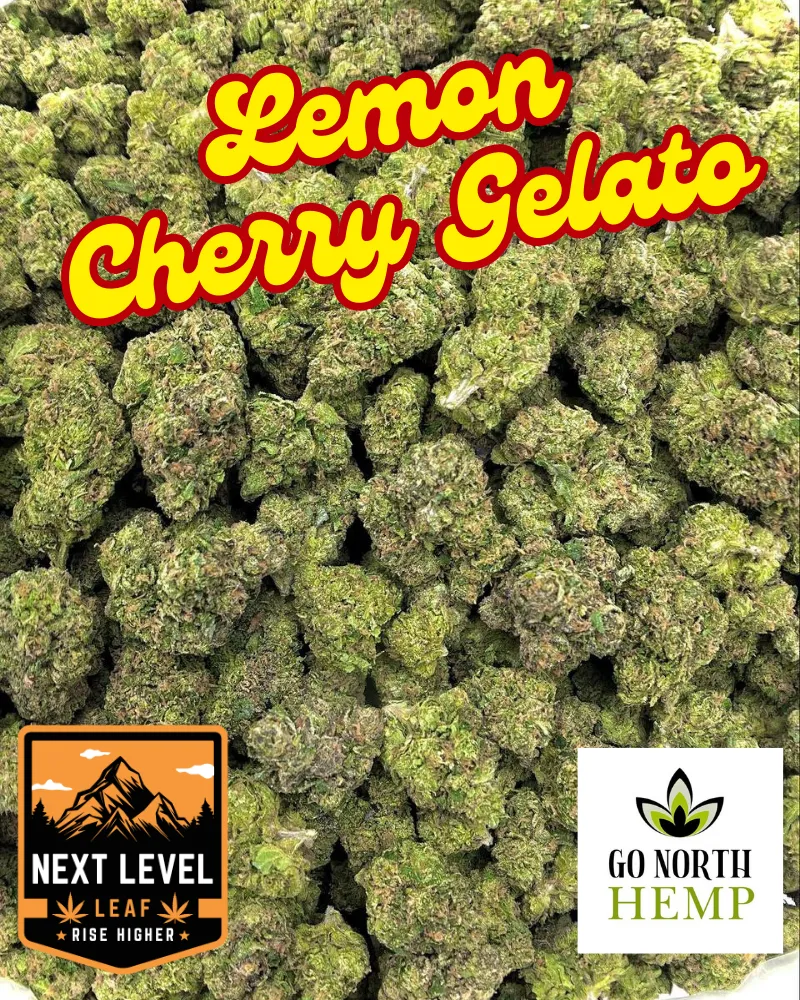 Lemon Cherry Gelato Big