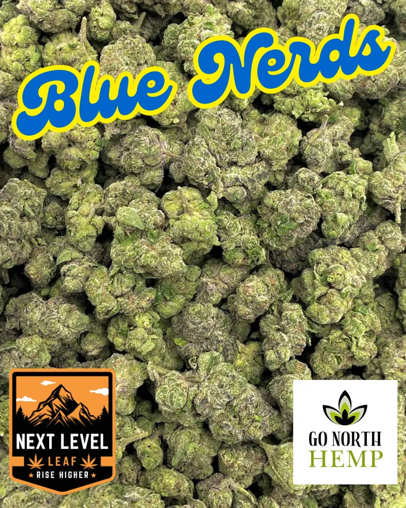 Blue Nerdz Big