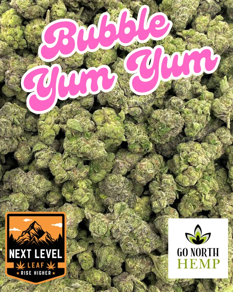 Bubble Yum Yum Big