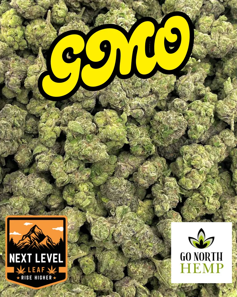 GMO Big