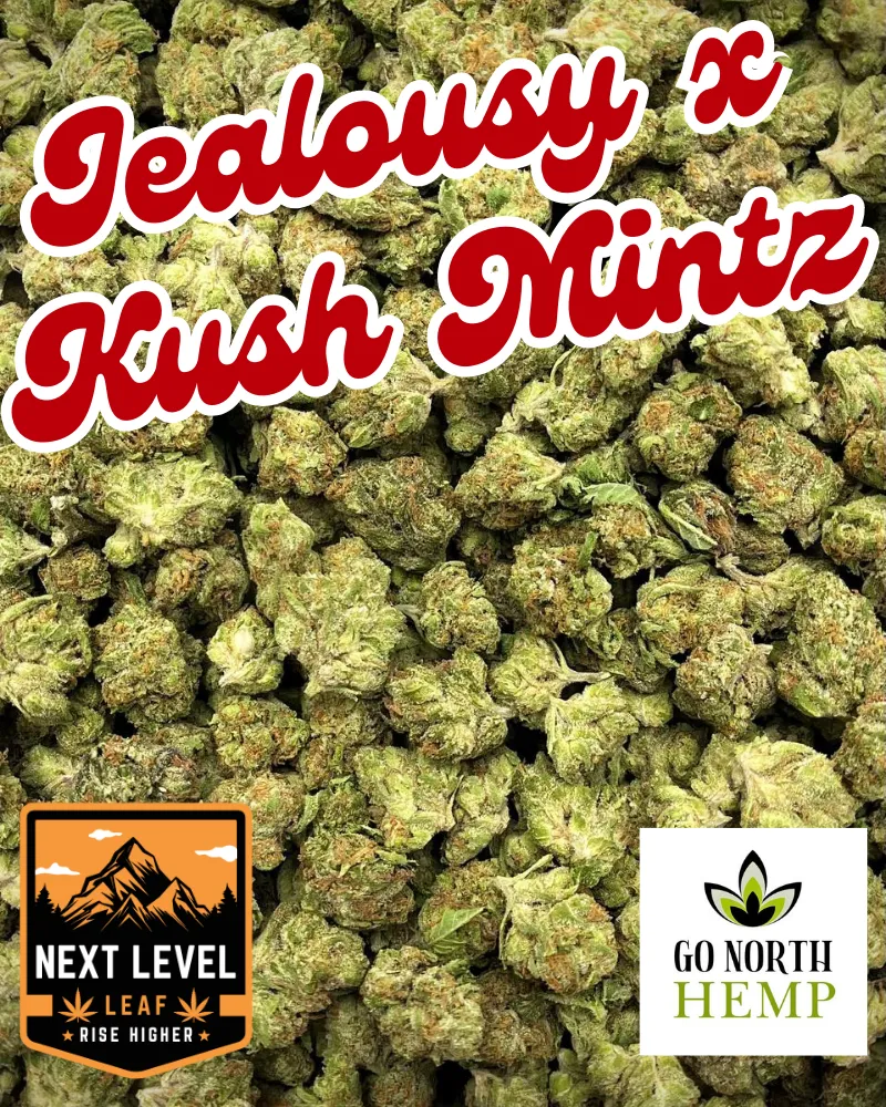 Jealousy x Kush Mintz Big