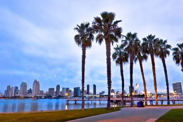 Bank and Wage Levy Relief in San Diego: Your Step-by-Step Plan