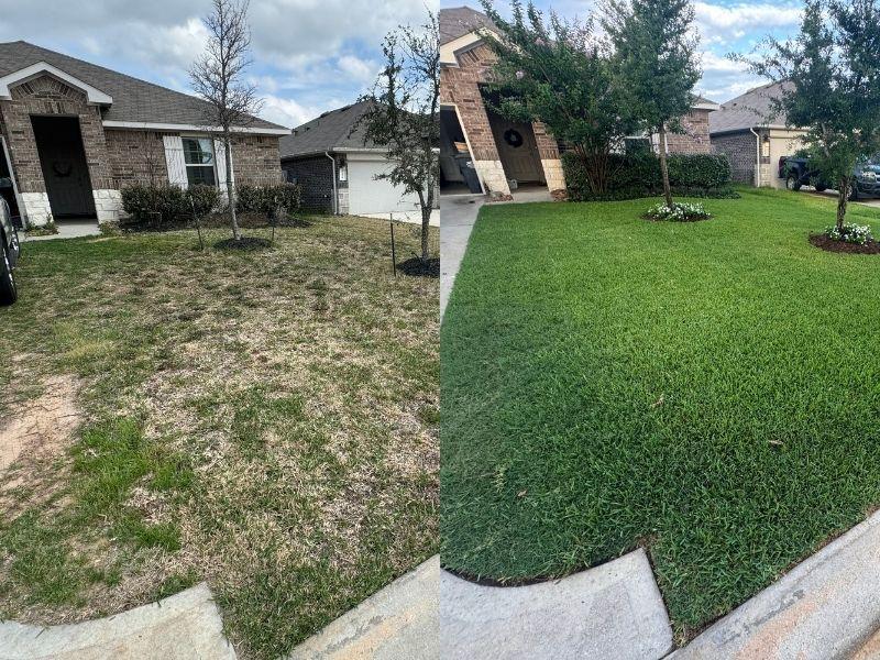 Before & After photo of Local Lawn Pros Customer Lawn