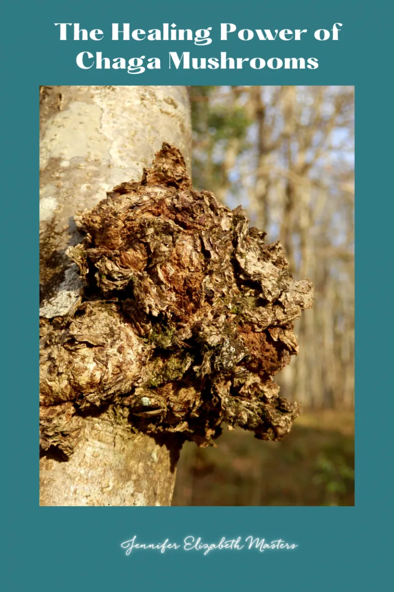 The Most Powerful Of Antioxidants To Keep You Healthy and Beyond
