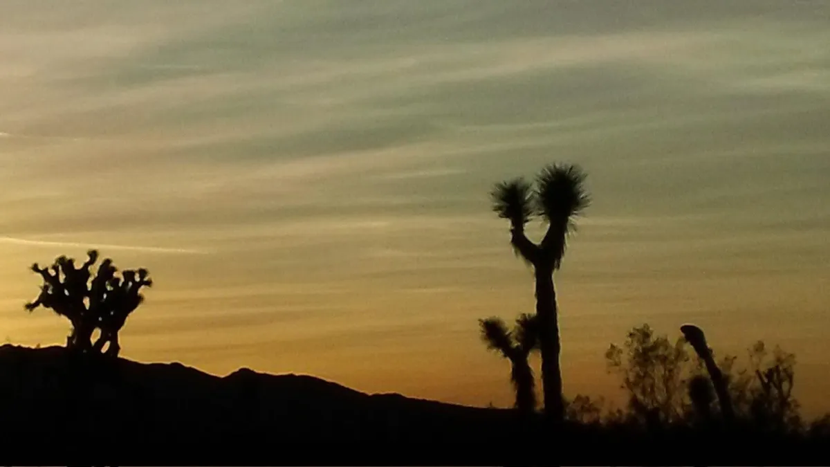 Manic Move to the Mojave More Magic and Miracles Part 1