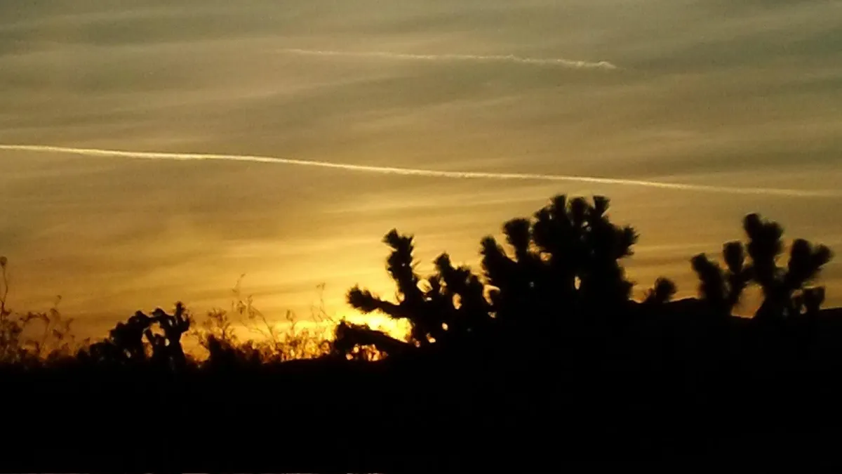 MANIC MOVE TO THE MOJAVE – PART II THE MAGIC BEGINS….