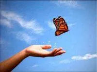 How To Speed Up Evolution Using The Law of Detachment
