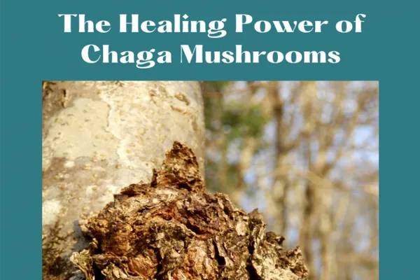 The Most Powerful Of Antioxidants To Keep You Healthy and Beyond
