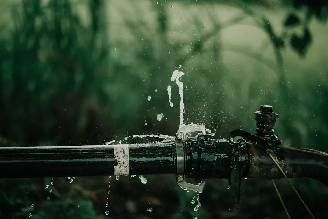 Water
