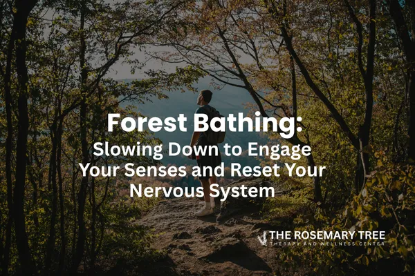 Forest Bathing: Slowing Down to Engage Your Senses and Reset Your Nervous System