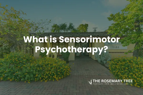 Sensorimotor Psychotherapy: Healing Trauma Through the Body
