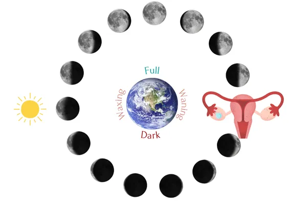 Natal Lunar Phase Return and How it Affects your Fertility