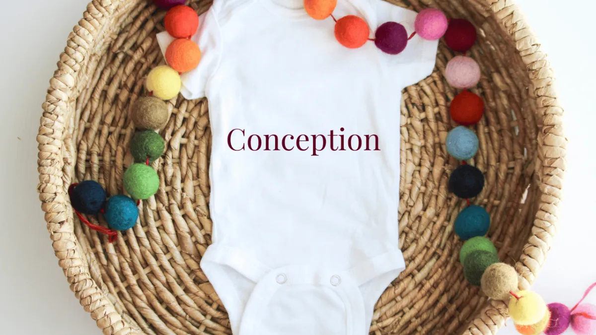 Conception
