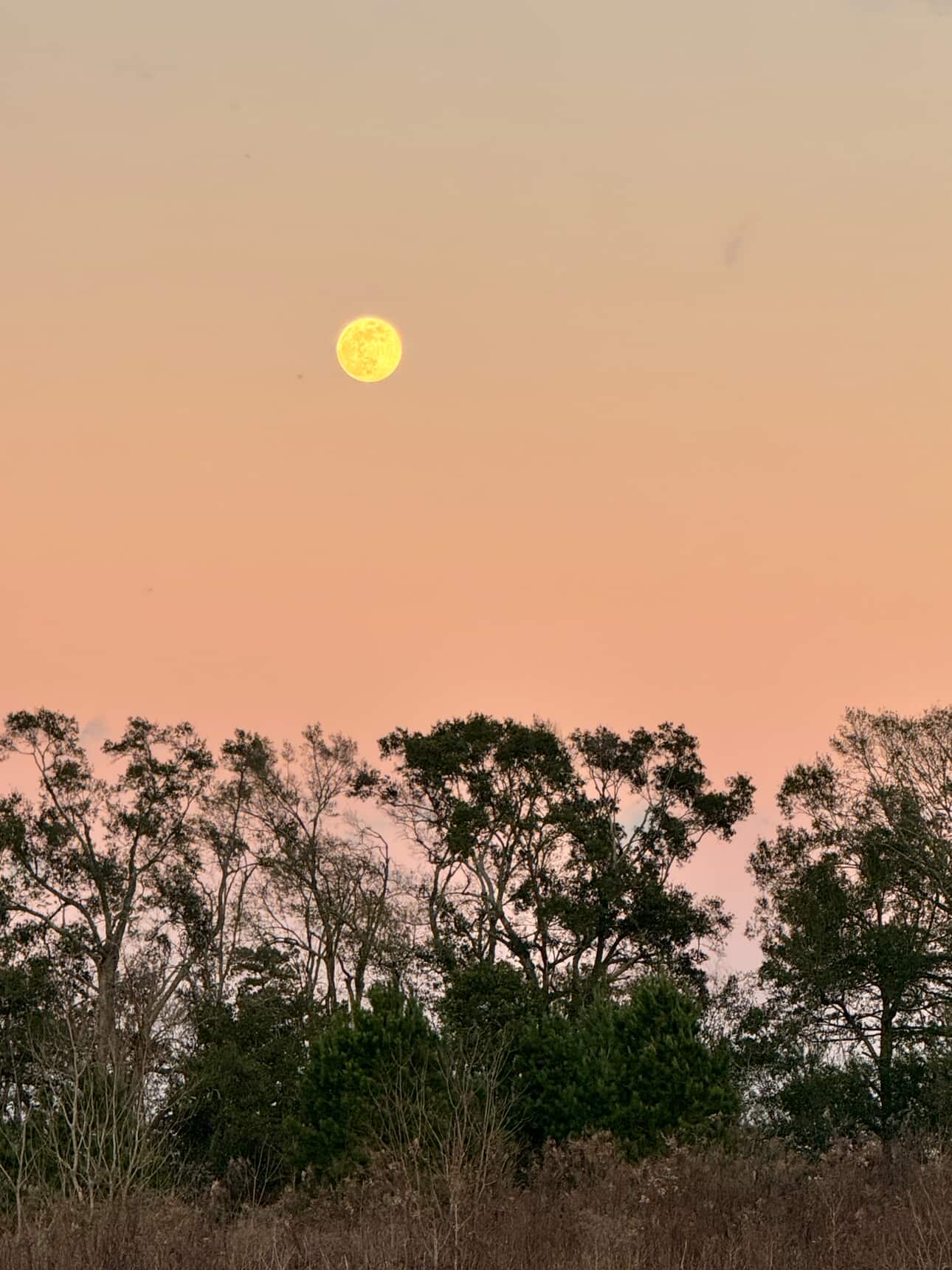 Full Moon in Cancer, January 3rd, 2026