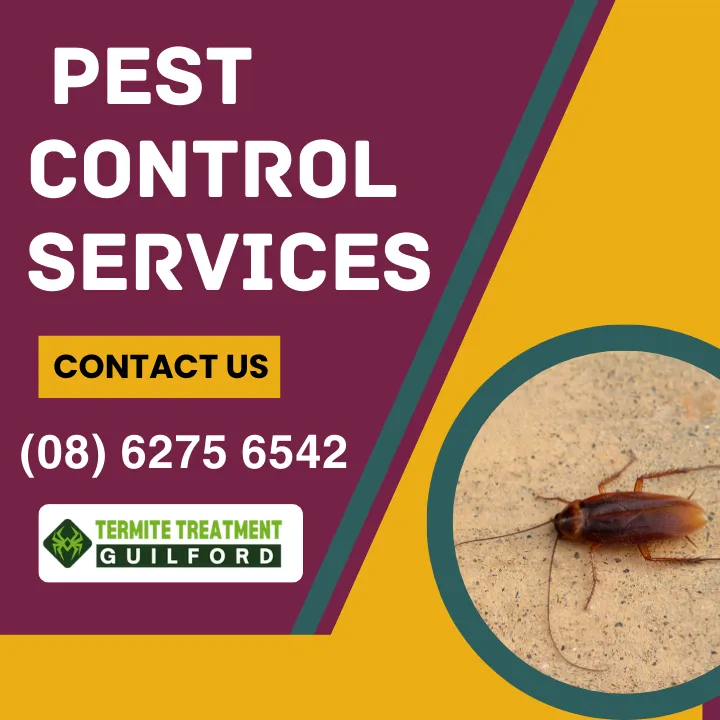 choosing-pest-control-company-guilford
