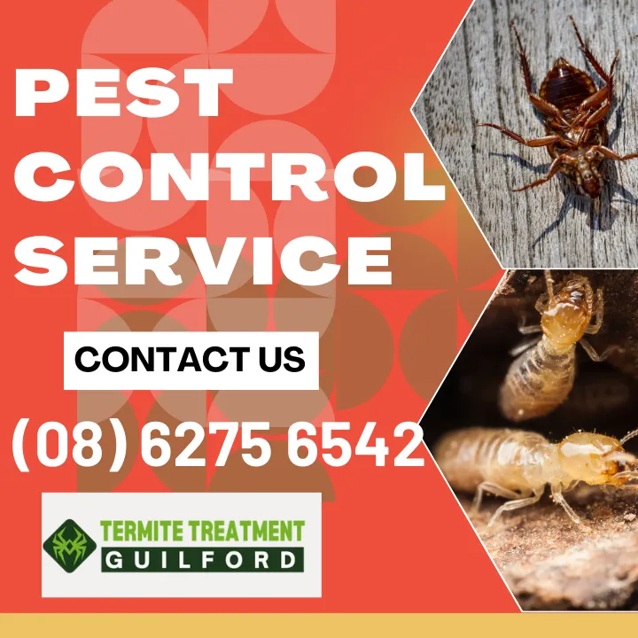 be-aware-top-pests