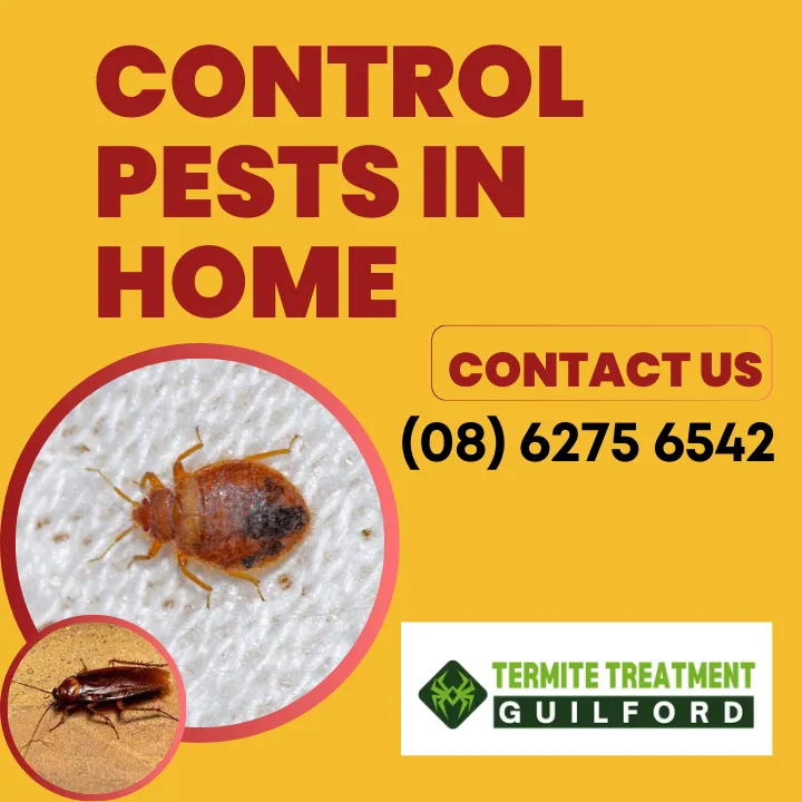 why-bugs-in-house