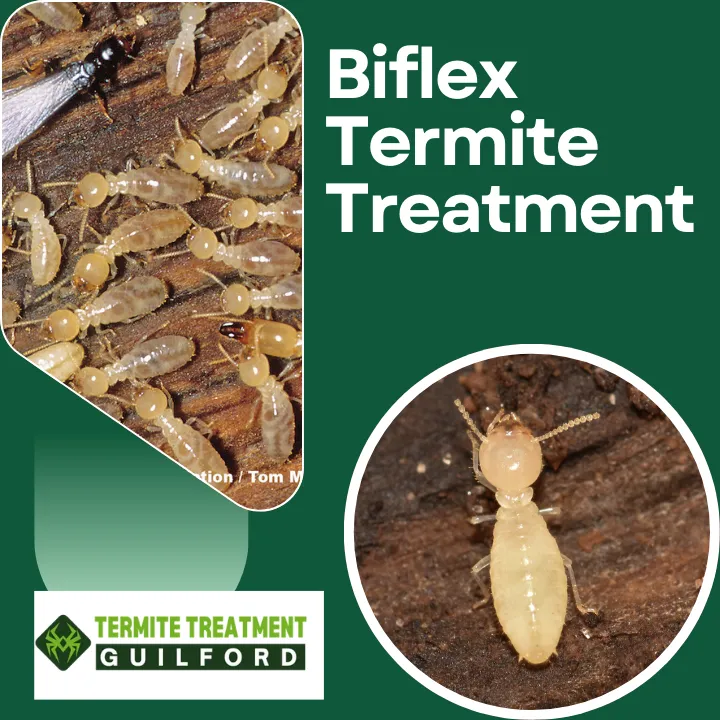 termite-spray-treatment