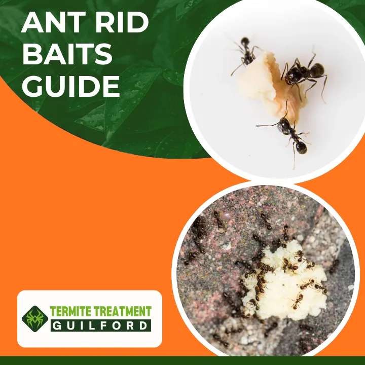 ant-rid-baits-complete-guide