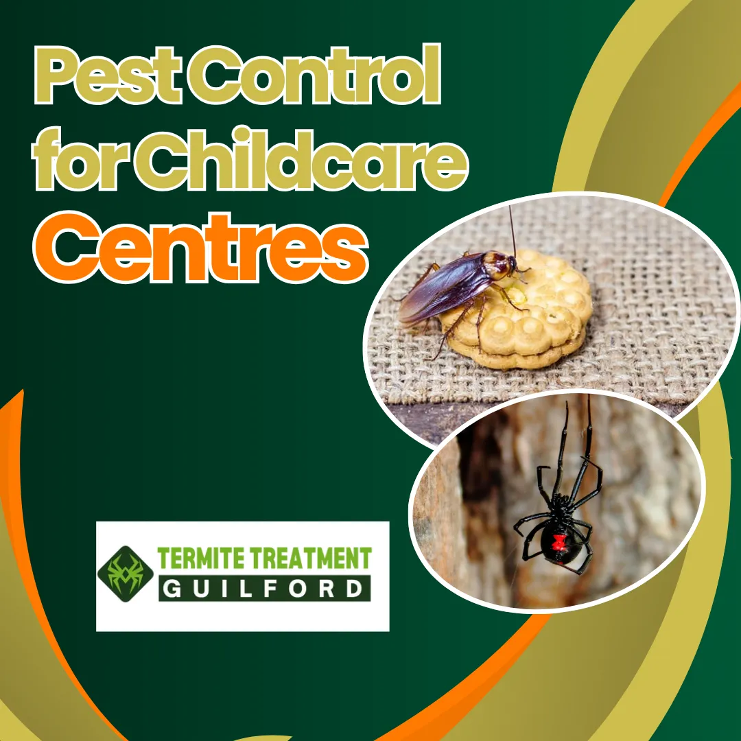 Professional pest control keeping childcare centres safe from pests and ensuring a healthy environment for children.
