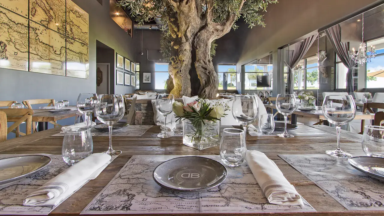 Mediterranean Magic in Coral Springs: Deja Blue Restaurant Is a Whole Vibe