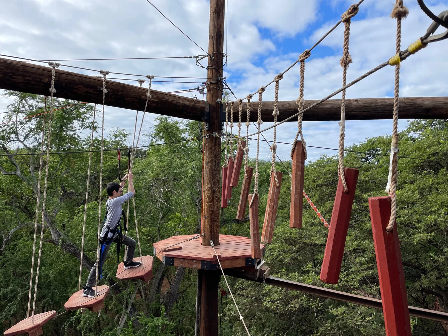 🌴 A Slice of Peace in the Heart of Coral Springs: Peppertree Park Adventure