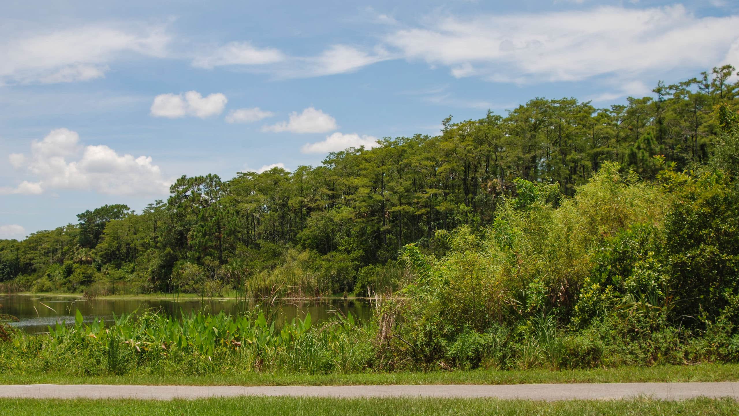 A Day at Tradewinds Park: The Ultimate Coral Springs Adventure (3lite LLC – Coral Springs, FL)