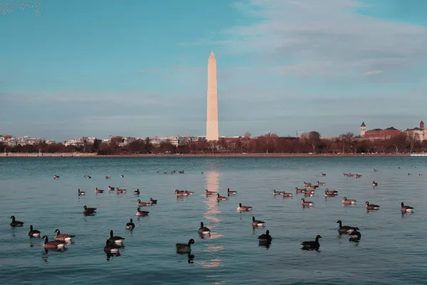 A view of the Washington Monument in Washington DC