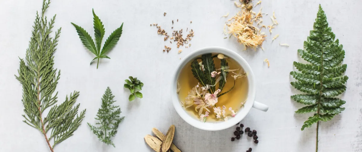 Ayurvedic Herbs for Mental & Physical Health